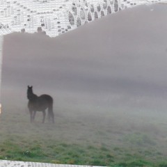 Meningen #15 – Kvarlämningar