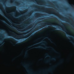 Saltus - Convergence