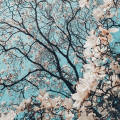 soothing