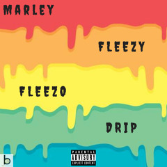 Fleezo Drip (Prod. Birdiebands)