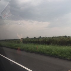 Please never fall in love again