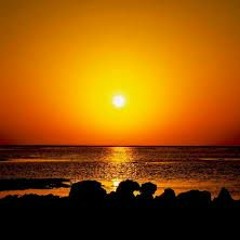 Mister Chivo - Qué Falta Me Haces Papá