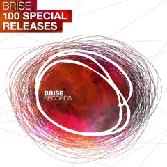 Brise 100 Special Compilation - DJ Mix by Helmut Dubnitzky