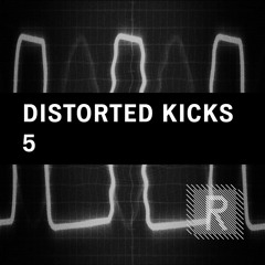 Riemann Distorted Kicks 5 (24bit WAV Loops & Oneshots) DEMO SONG