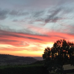 Birthday, Houston, 04:08:18