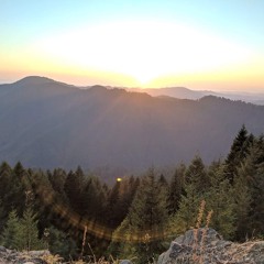 Harlequin Sunday Morning Live @ Magic Meadow Campout Aug. 2018