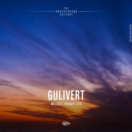 Gulivert @ Melodic Therapy #019 - France
