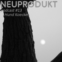neuprodukt podcast #13 - Hund Koecket