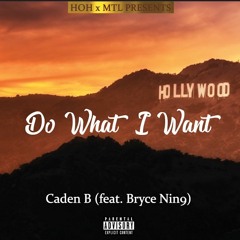 Do What I Want (feat. Bryce Nin9)