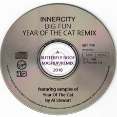 BIG FUN Year Of The Cat Remix INNER CITY VS AL STEWART A Butterfly Roof Mashup