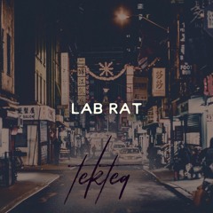 LAB RAT | Soul Rap Beat