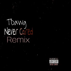 Never Cared "Remix"