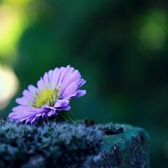 Breathing space
