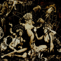 同調圧力 (Peer Pressure)