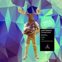Thundercloud    "Xoxo"  Electro Mix