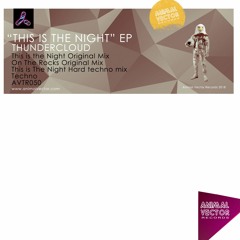 Thundercloud  "This Is The Night"  (original mix)