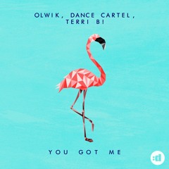 OLWIK, Dance Cartel, Terri B! - You Got Me