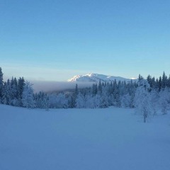 Snow - Demo