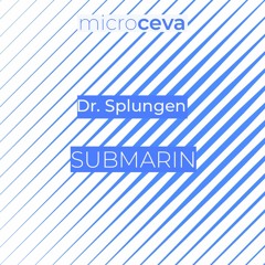 Dr. Splungen-Submarin