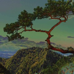 Reiner Dieling - De Boom An De Bargen