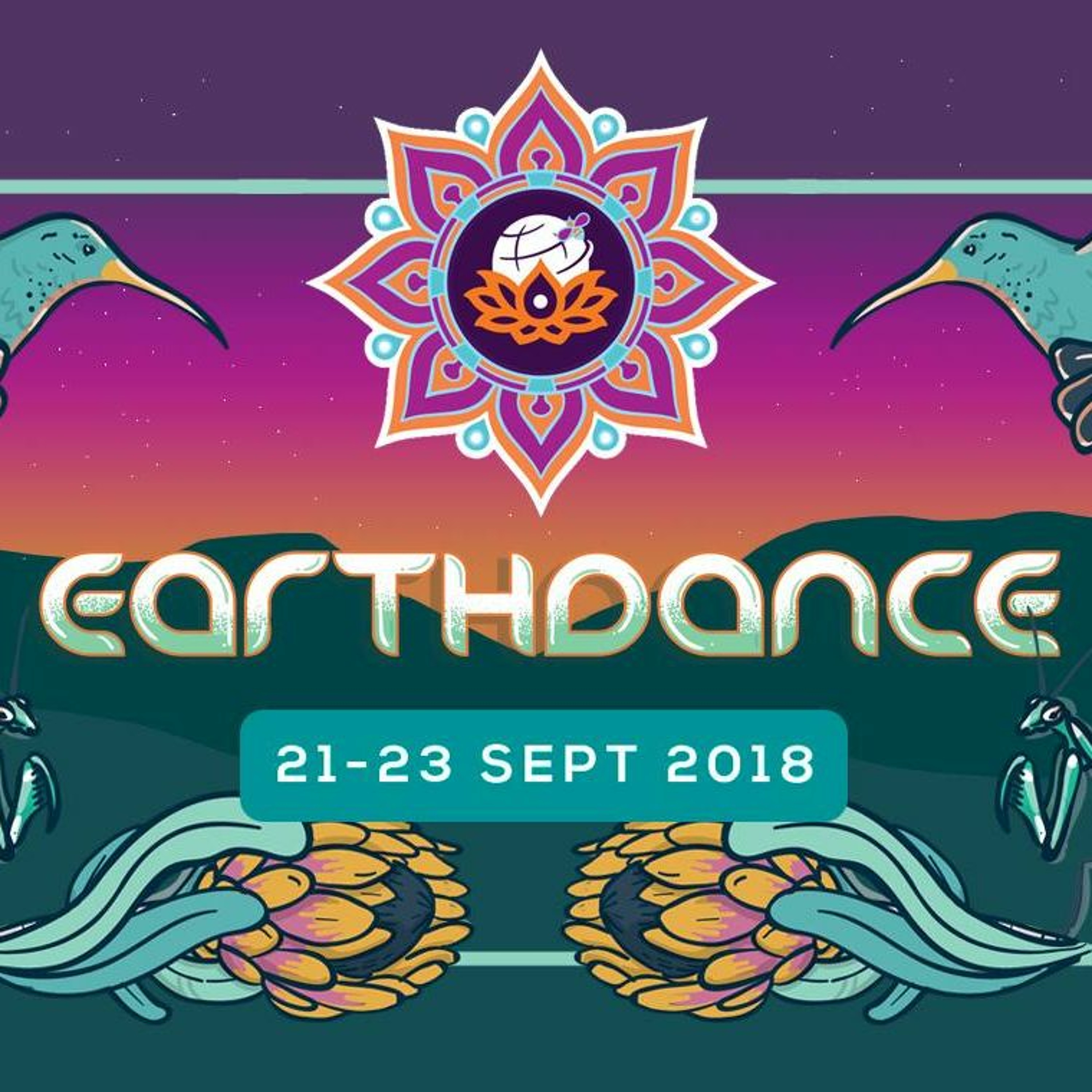 Earthdance 2018 - After The Party
