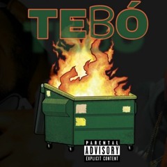 Tebo Mix - LV x Riichylee