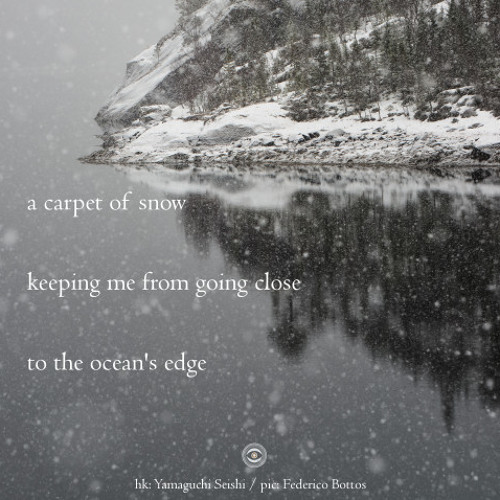 carpet of snow to protect me (Naviarhaiku 247)