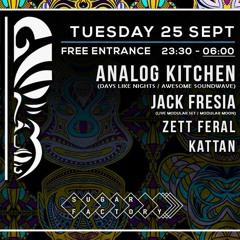 Analog Kitchen Techno Tribe September 2018