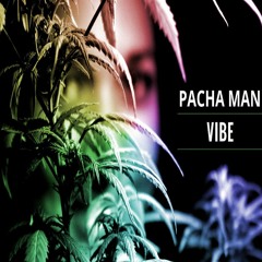 Pacha Man - Vibe (Audio Edit)