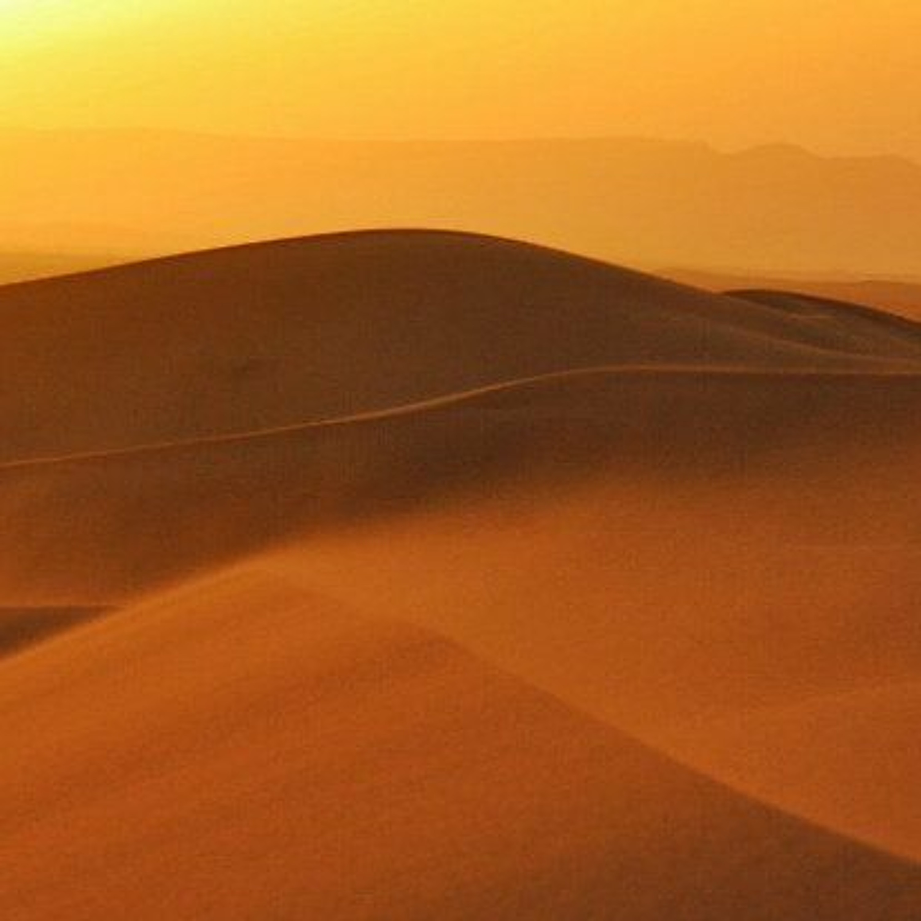 Alone in the Desert episode artwork