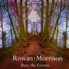 The Buzzard and the Nightingale by Rowan : Morrison