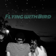 Flying with Bird