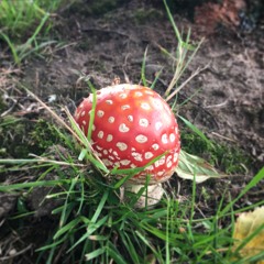 Modular Drum Machine Test VII