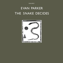 Evan Parker - Leipzig Folly