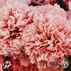 HOUNDTRACK x YUSHUF - Honeysuckle