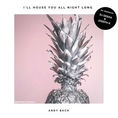 Andy Bach - I'll House You All Night Long (Original Mix)