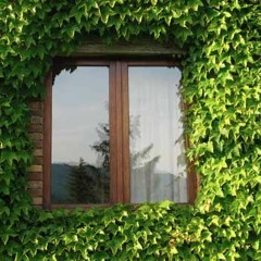 LA MUSICA è UN COLORE