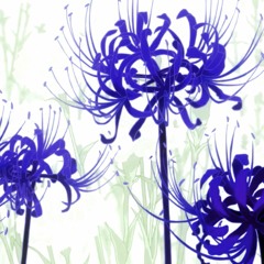 flowers (Prod. Yami x whoisaytef)