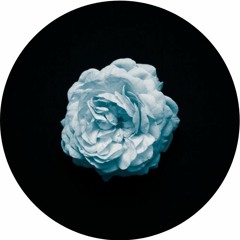 PREMIERE: MATHESON - Stay With Me