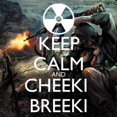 Stalker Bandit Radio Remix