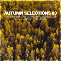AKI Amano - Streamlines