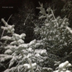 My Best Friend Broke Both of My Knees (with Cleo)