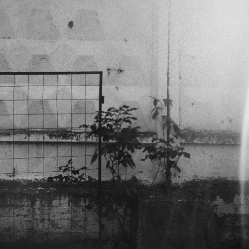 Alethe Live @ DOM 02.09.2018 (excerpt)