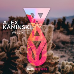 PREMIERE: Alex Kaminski - Wüste (Adisyn Remix) [WAYU Records]