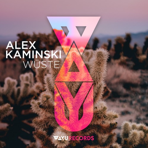 PREMIERE: Alex Kaminski - Wüste (Adisyn Remix) [WAYU Records]