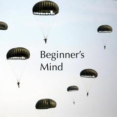 beginner's mind