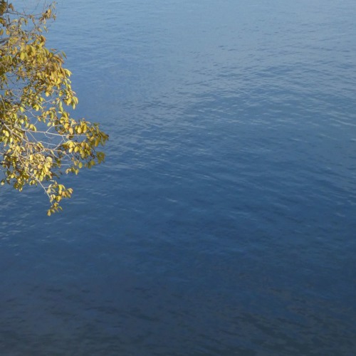 Hydrophone recording, South Saskatchewan River