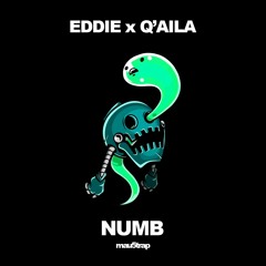 [MAU50202] EDDIE x Q'AILA - Numb