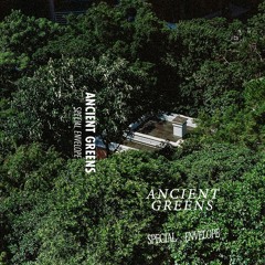 Ancient Greens - Indoor Jungle