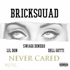 Never Cared - Bricksquad